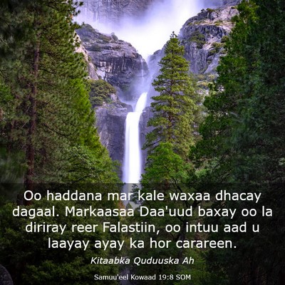 Picture 03 - Samuu'eel Kowaad 19:8 SOM - Oo haddana mar kale waxaa dhacay dagaal. - Bible Verse Picture