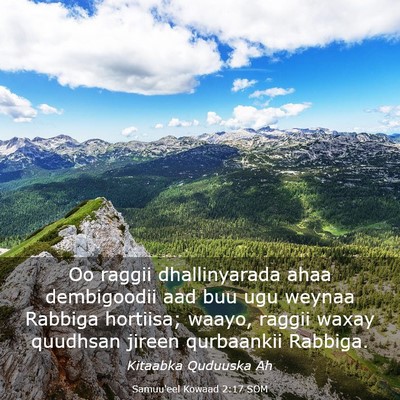 Picture 03 - Samuu'eel Kowaad 2:17 SOM - Oo raggii dhallinyarada ahaa dembigoodii aad buu - Bible Verse Picture