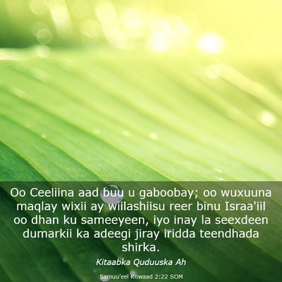 Picture 03 - Samuu'eel Kowaad 2:22 SOM - Oo Ceeliina aad buu u gaboobay; oo wuxuuna maqlay - Bible Verse Picture