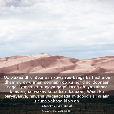 Picture 03 - Samuu'eel Kowaad 2:36 SOM - Oo waxaa dhici doona in kuwa reerkaaga ka hadha - Bible Verse Picture