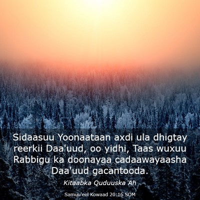 Picture 03 - Samuu'eel Kowaad 20:16 SOM - Sidaasuu Yoonaataan axdi ula dhigtay reerkii - Bible Verse Picture