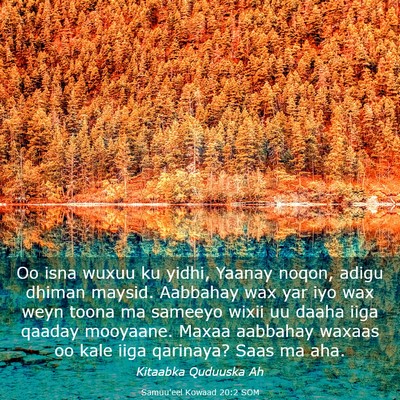 Picture 03 - Samuu'eel Kowaad 20:2 SOM - Oo isna wuxuu ku yidhi, Yaanay noqon, adigu - Bible Verse Picture