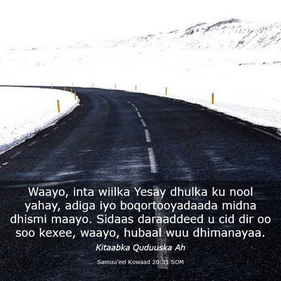 Picture 03 - Samuu'eel Kowaad 20:31 SOM - Waayo, inta wiilka Yesay dhulka ku nool yahay, - Bible Verse Picture