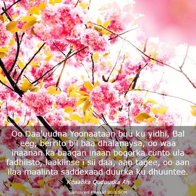 Picture 03 - Samuu'eel Kowaad 20:5 SOM - Oo Daa'uudna Yoonaataan buu ku yidhi, Bal eeg, - Bible Verse Picture