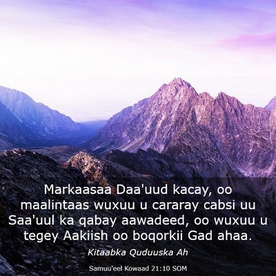 Picture 03 - Samuu'eel Kowaad 21:10 SOM - Markaasaa Daa'uud kacay, oo maalintaas wuxuu u - Bible Verse Picture