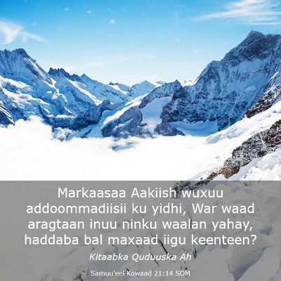 Picture 03 - Samuu'eel Kowaad 21:14 SOM - Markaasaa Aakiish wuxuu addoommadiisii ku yidhi, - Bible Verse Picture