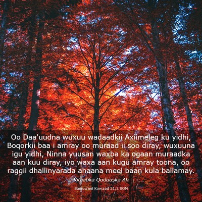 Picture 03 - Samuu'eel Kowaad 21:2 SOM - Oo Daa'uudna wuxuu wadaadkii Axiimeleg ku yidhi, - Bible Verse Picture