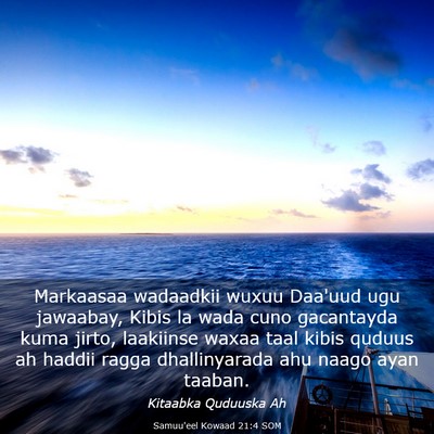 Picture 03 - Samuu'eel Kowaad 21:4 SOM - Markaasaa wadaadkii wuxuu Daa'uud ugu jawaabay, - Bible Verse Picture