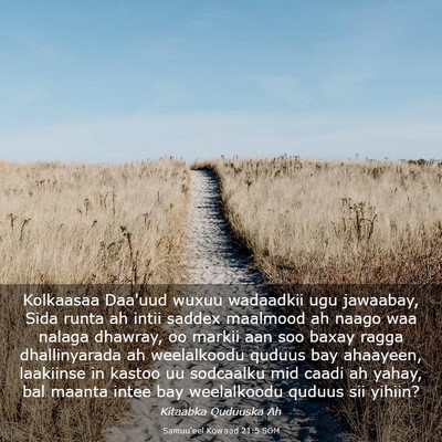 Picture 03 - Samuu'eel Kowaad 21:5 SOM - Kolkaasaa Daa'uud wuxuu wadaadkii ugu jawaabay, - Bible Verse Picture