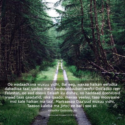 Picture 03 - Samuu'eel Kowaad 21:9 SOM - Oo wadaadkiina wuxuu yidhi, Bal eeg, waxaa halkan - Bible Verse Picture