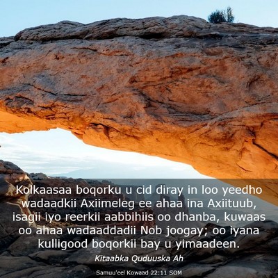 Picture 03 - Samuu'eel Kowaad 22:11 SOM - Kolkaasaa boqorku u cid diray in loo yeedho - Bible Verse Picture