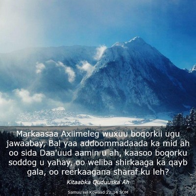 Picture 03 - Samuu'eel Kowaad 22:14 SOM - Markaasaa Axiimeleg wuxuu boqorkii ugu jawaabay, - Bible Verse Picture