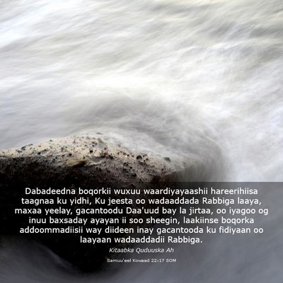 Picture 03 - Samuu'eel Kowaad 22:17 SOM - Dabadeedna boqorkii wuxuu waardiyayaashii - Bible Verse Picture