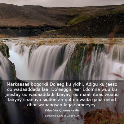Picture 03 - Samuu'eel Kowaad 22:18 SOM - Markaasaa boqorkii Do'eeg ku yidhi, Adigu ku - Bible Verse Picture