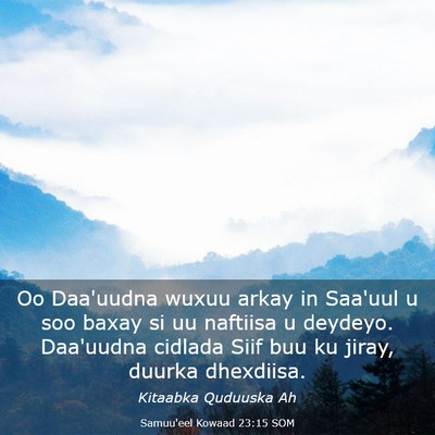Picture 03 - Samuu'eel Kowaad 23:15 SOM - Oo Daa'uudna wuxuu arkay in Saa'uul u soo baxay - Bible Verse Picture