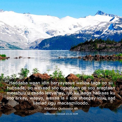 Picture 03 - Samuu'eel Kowaad 23:22 SOM - Haddaba waan idin baryayaaye weliba taga oo sii - Bible Verse Picture