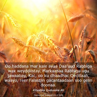 Picture 03 - Samuu'eel Kowaad 23:4 SOM - Oo haddana mar kale ayaa Daa'uud Rabbiga wax - Bible Verse Picture