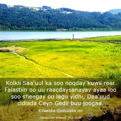 Picture 03 - Samuu'eel Kowaad 24:1 SOM - Kolkii Saa'uul ka soo noqday kuwii reer Falastiin - Bible Verse Picture