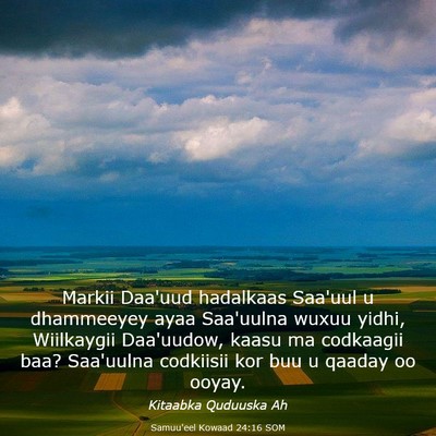 Picture 03 - Samuu'eel Kowaad 24:16 SOM - Markii Daa'uud hadalkaas Saa'uul u dhammeeyey - Bible Verse Picture
