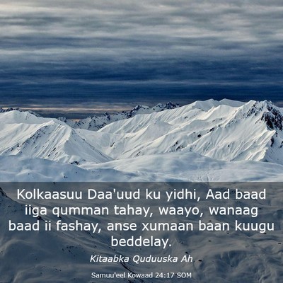 Picture 03 - Samuu'eel Kowaad 24:17 SOM - Kolkaasuu Daa'uud ku yidhi, Aad baad iiga qumman - Bible Verse Picture