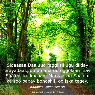Picture 03 - Samuu'eel Kowaad 24:7 SOM - Sidaasaa Daa'uud raggiisii ugu diiday erayadaas, - Bible Verse Picture