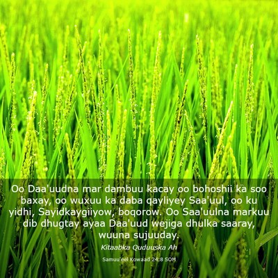 Picture 03 - Samuu'eel Kowaad 24:8 SOM - Oo Daa'uudna mar dambuu kacay oo bohoshii ka soo - Bible Verse Picture