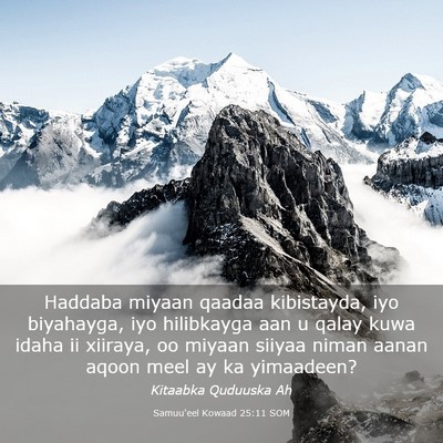 Picture 03 - Samuu'eel Kowaad 25:11 SOM - Haddaba miyaan qaadaa kibistayda, iyo biyahayga, - Bible Verse Picture
