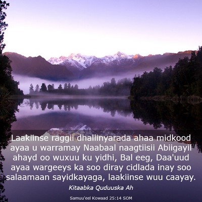 Picture 03 - Samuu'eel Kowaad 25:14 SOM - Laakiinse raggii dhallinyarada ahaa midkood ayaa - Bible Verse Picture