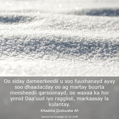 Picture 03 - Samuu'eel Kowaad 25:20 SOM - Oo siday dameerkeedii u soo fuushanayd ayay soo - Bible Verse Picture