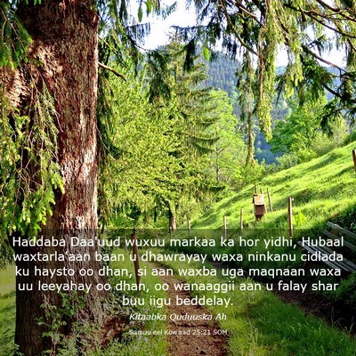 Picture 03 - Samuu'eel Kowaad 25:21 SOM - Haddaba Daa'uud wuxuu markaa ka hor yidhi, Hubaal - Bible Verse Picture