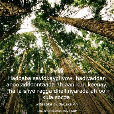 Picture 03 - Samuu'eel Kowaad 25:27 SOM - Haddaba sayidkaygiiyow, hadiyaddan anoo - Bible Verse Picture