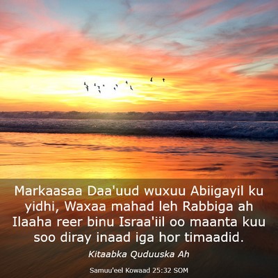 Picture 03 - Samuu'eel Kowaad 25:32 SOM - Markaasaa Daa'uud wuxuu Abiigayil ku yidhi, Waxaa - Bible Verse Picture