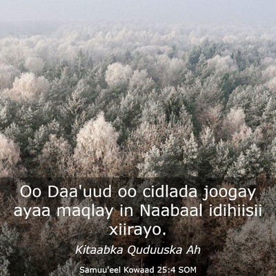 Picture 03 - Samuu'eel Kowaad 25:4 SOM - Oo Daa'uud oo cidlada joogay ayaa maqlay in - Bible Verse Picture