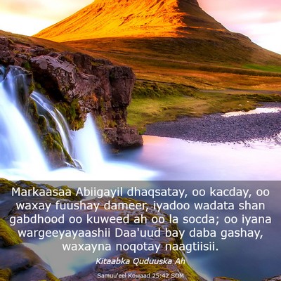 Picture 03 - Samuu'eel Kowaad 25:42 SOM - Markaasaa Abiigayil dhaqsatay, oo kacday, oo - Bible Verse Picture