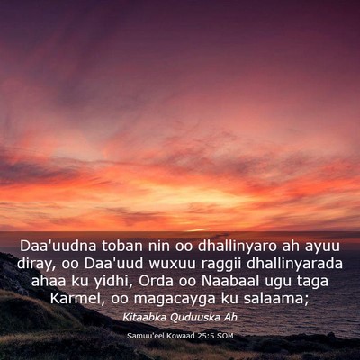 Picture 03 - Samuu'eel Kowaad 25:5 SOM - Daa'uudna toban nin oo dhallinyaro ah ayuu diray, - Bible Verse Picture