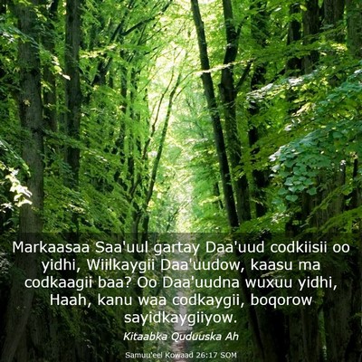 Picture 03 - Samuu'eel Kowaad 26:17 SOM - Markaasaa Saa'uul gartay Daa'uud codkiisii oo - Bible Verse Picture