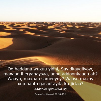Picture 03 - Samuu'eel Kowaad 26:18 SOM - Oo haddana wuxuu yidhi, Sayidkaygiiyow, maxaad ii - Bible Verse Picture