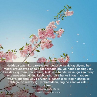 Picture 03 - Samuu'eel Kowaad 26:19 SOM - Haddaba waan ku baryayaaye, boqorow - Bible Verse Picture