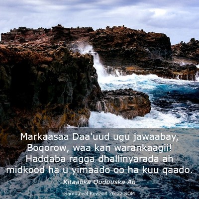 Picture 03 - Samuu'eel Kowaad 26:22 SOM - Markaasaa Daa'uud ugu jawaabay, Boqorow, waa kan - Bible Verse Picture