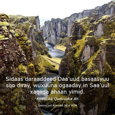 Picture 03 - Samuu'eel Kowaad 26:4 SOM - Sidaas daraaddeed Daa'uud basaasyuu soo diray, - Bible Verse Picture