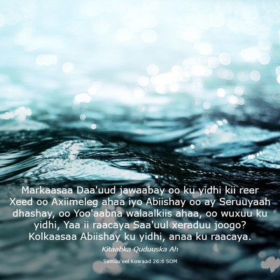Picture 03 - Samuu'eel Kowaad 26:6 SOM - Markaasaa Daa'uud jawaabay oo ku yidhi kii reer - Bible Verse Picture