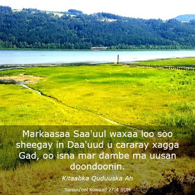 Picture 03 - Samuu'eel Kowaad 27:4 SOM - Markaasaa Saa'uul waxaa loo soo sheegay in - Bible Verse Picture
