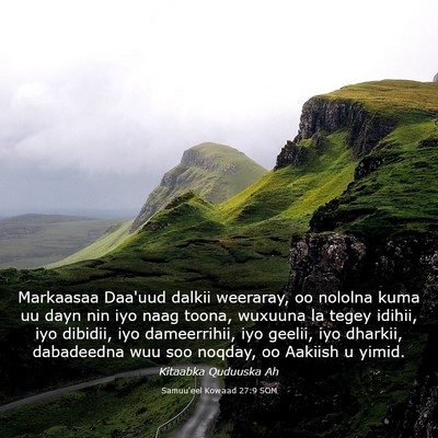 Picture 03 - Samuu'eel Kowaad 27:9 SOM - Markaasaa Daa'uud dalkii weeraray, oo nololna - Bible Verse Picture