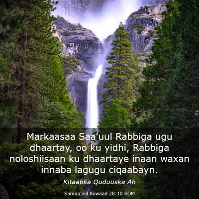 Picture 03 - Samuu'eel Kowaad 28:10 SOM - Markaasaa Saa'uul Rabbiga ugu dhaartay, oo ku - Bible Verse Picture