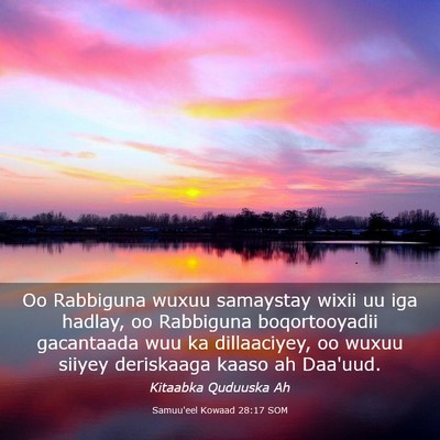 Picture 03 - Samuu'eel Kowaad 28:17 SOM - Oo Rabbiguna wuxuu samaystay wixii uu iga hadlay, - Bible Verse Picture