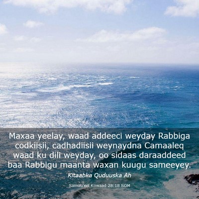 Picture 03 - Samuu'eel Kowaad 28:18 SOM - Maxaa yeelay, waad addeeci weyday Rabbiga - Bible Verse Picture