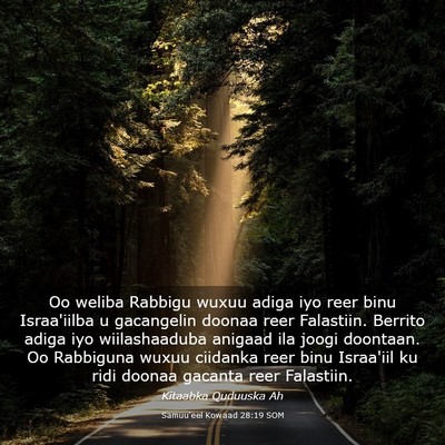 Picture 03 - Samuu'eel Kowaad 28:19 SOM - Oo weliba Rabbigu wuxuu adiga iyo reer binu - Bible Verse Picture