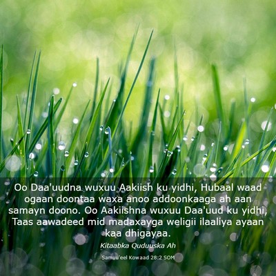 Picture 03 - Samuu'eel Kowaad 28:2 SOM - Oo Daa'uudna wuxuu Aakiish ku yidhi, Hubaal waad - Bible Verse Picture