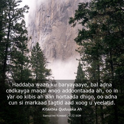 Picture 03 - Samuu'eel Kowaad 28:22 SOM - Haddaba waan ku baryayaaye, bal adna codkayga - Bible Verse Picture