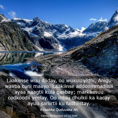 Picture 03 - Samuu'eel Kowaad 28:23 SOM - Laakiinse wuu diiday, oo wuxuu yidhi, Anigu waxba - Bible Verse Picture